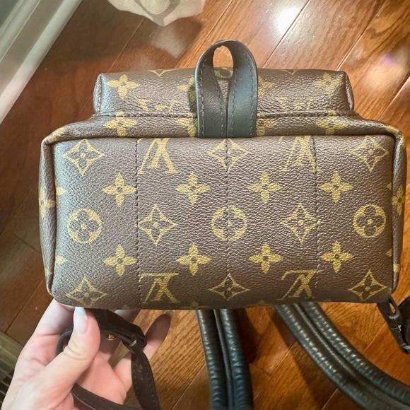 Louis Vuitton Palm Spring Backpack main image 8